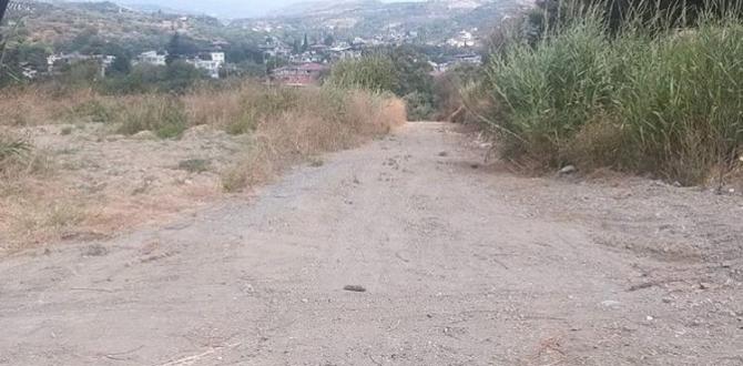 DEFNE BELEDİYESİ EKİPLERİ HANCAĞIZ MAHALLESİNDE