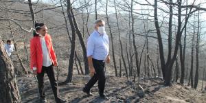 AK Parti yara sardı