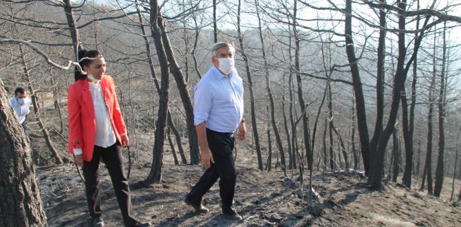 AK Parti yara sardı