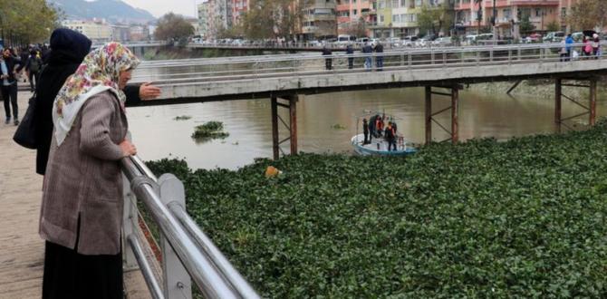 Bütün nehri istila etmişlerdi, yine geldiler