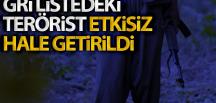 Hatay’da etkisiz hale getirilen 3 teröristin gri kategoride arandığı tespit edildi