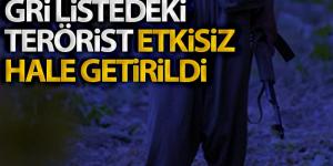 Hatay’da etkisiz hale getirilen 3 teröristin gri kategoride arandığı tespit edildi
