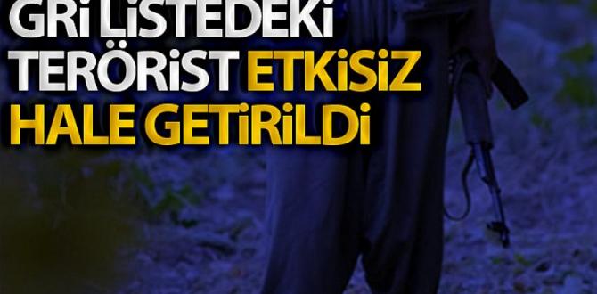 Hatay’da etkisiz hale getirilen 3 teröristin gri kategoride arandığı tespit edildi