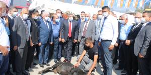 “AK Parti Kırıkhan ve Hassa İlçe Kongreleri gerçekleştirildi”