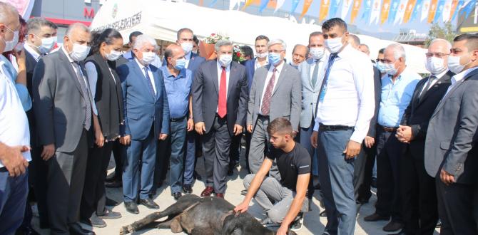 “AK Parti Kırıkhan ve Hassa İlçe Kongreleri gerçekleştirildi”