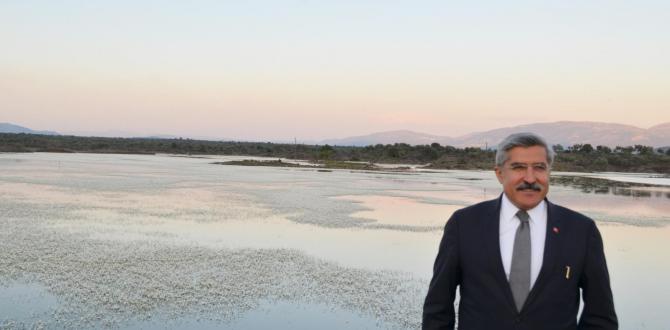 Yayman: Bataklık 50 yıl sonra kuş cennetine döndü