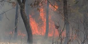 Hatay’da orman yangını: 3 hektar alan zarar gördü