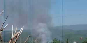 Zeytin bahçesinde yangın çıktı