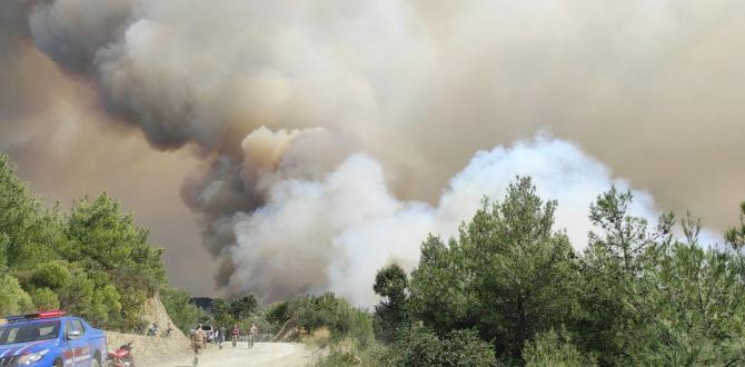 Samandağ’da korkutan yangın