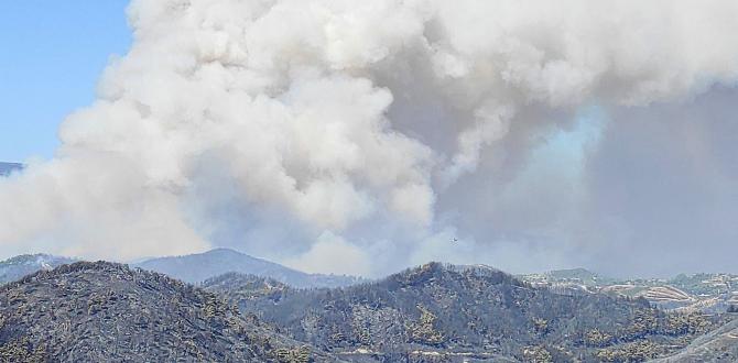 Hatay’da kontrol altına alınan yangın tekrar alevlendi