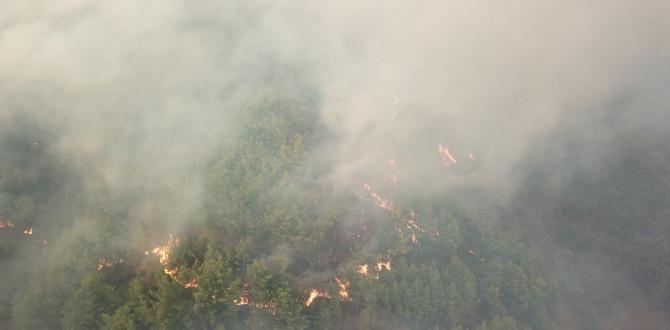 Hatay’daki orman yangınında bir köy daha tahliye edildi