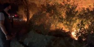 Hatay’daki yangına, karşı ateş tekniğiyle müdahale ediliyor