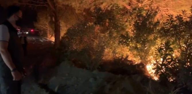 Hatay’daki yangına, karşı ateş tekniğiyle müdahale ediliyor