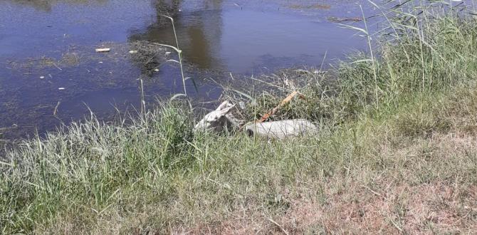 Sulama kanalına düşen eşeği itfaiye kurtardı