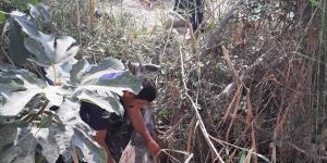 Dereye düşen eşeği itfaiye kurtardı