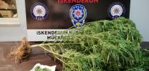 İskenderun’da uyuşturucu operasyonu: 7 gözaltı