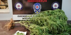 İskenderun’da uyuşturucu operasyonu: 7 gözaltı