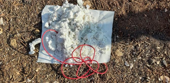 Afrin’de 75 kilo patlayıcı yüklü araç ele geçirildi