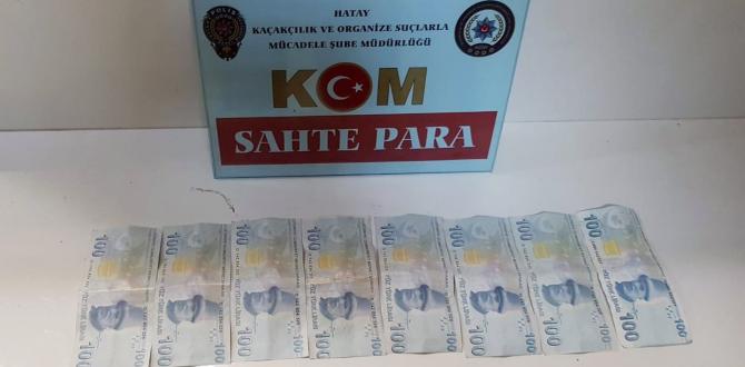 Hatay’da sahte para operasyonu