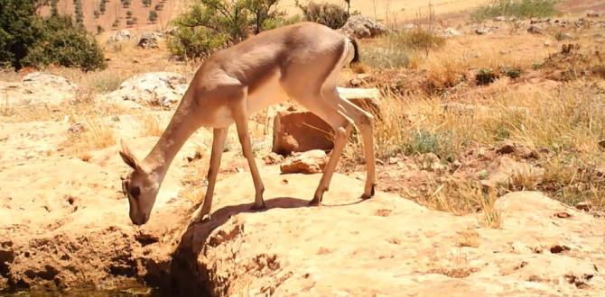 Taş ocağı firmasından tepki çeken girişim