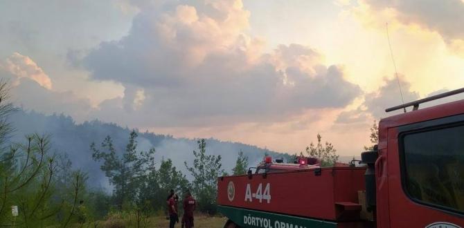 Hatay’da çıkan orman yangınları söndürüldü
