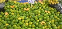 Hatay mandalinası tezgahlarda