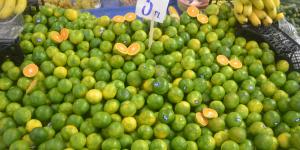 Hatay mandalinası tezgahlarda