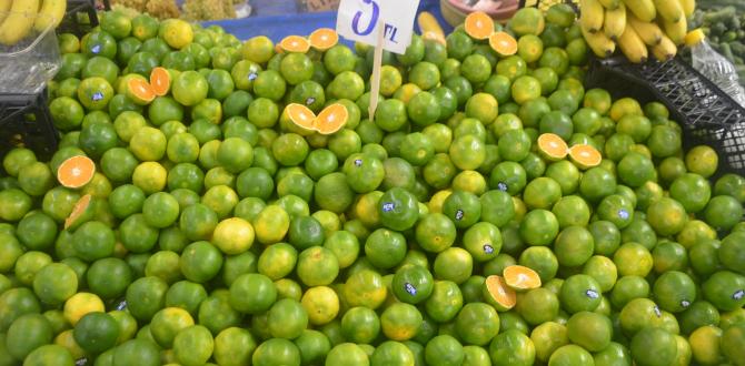 Hatay mandalinası tezgahlarda