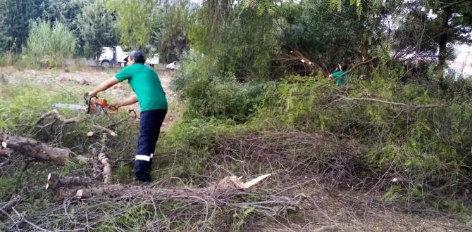 PARK VE YEŞİL ALANLARDA BAKIM VE ONARIM ÇALIŞMALARI DEVAM EDİYOR