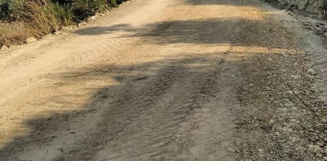 DEFNE’DE YOLLAR BAKIM ONARIMDAN GEÇİYOR