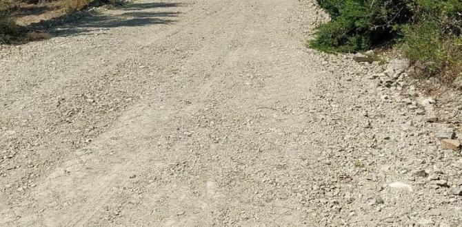 DEFNE BELEDİYESİ YOLLARI KULLANIŞLI HALE GETİRİYOR