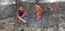 Hatay’da yanan ormanlık alana fidan dikmeyin uyarısı