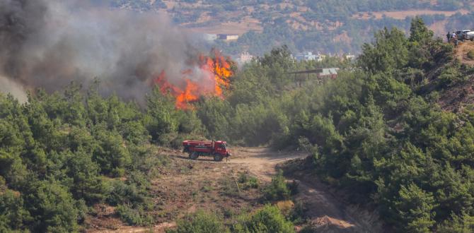 Hatay’daki orman yangınıyla ilgili 2 kişi tutuklandı