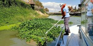 Su canavarları bariyerle önlenecek