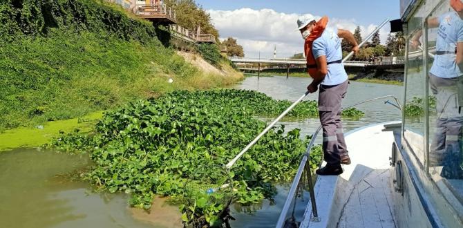 Su canavarları bariyerle önlenecek