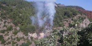 Payas’taki orman yangınında 1 hektar alan zarar gördü