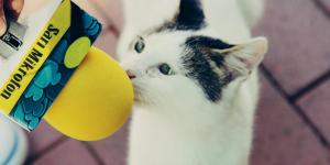 Hobi olarak başlamıştı şimdi milyar izlenmeye sahip