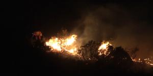 Hatay’da orman yangını