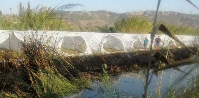 Samandağ’da seralar son anda yanmaktan kurtuldu