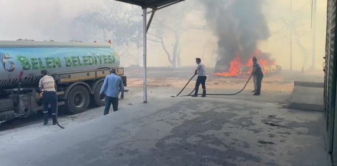 Orman yangını kente sıçradı