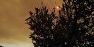 Suriye’de orman yangını çıktı, dumanı Samandağ’ı kapladı