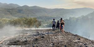 Hatay’da zeytin ağaçları kül oldu