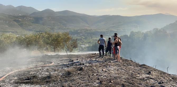 Hatay’da zeytin ağaçları kül oldu