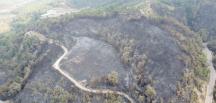 Hatay’daki orman yangınında 300 hektar alan zarar gördü