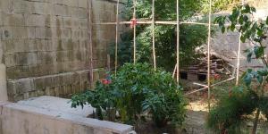 Hatay’da uyuşturucu operasyonları