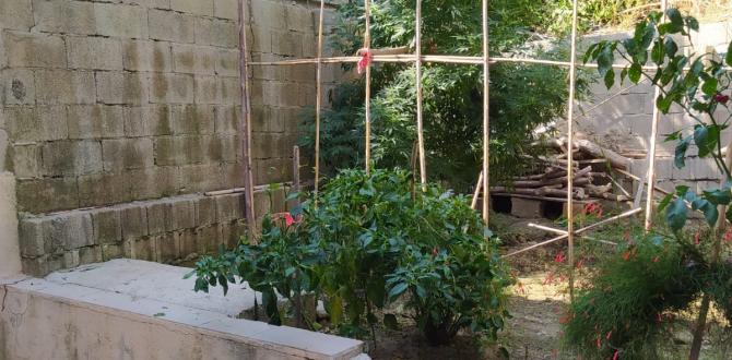 Hatay’da uyuşturucu operasyonları