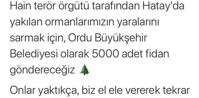 Ordu’dan Hatay’a anlamlı yardım