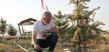 Hatay’da çıkan yangınlara Şehit Aileleri Derneği’nden ‘fidanlı’ tepki