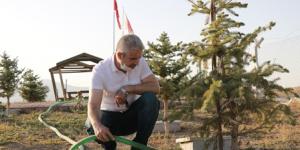 Hatay’da çıkan yangınlara Şehit Aileleri Derneği’nden ‘fidanlı’ tepki