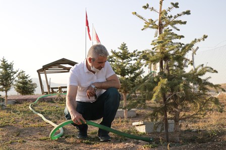 Hatay’da çıkan yangınlara Şehit Aileleri Derneği’nden ‘fidanlı’ tepki